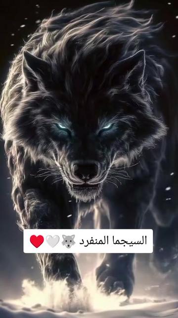 @السيجما المنفرد 🐺