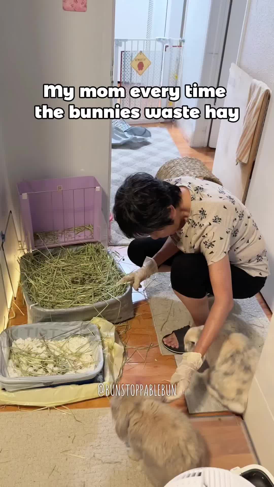 @BunBun, Mochi🌈, Chewy