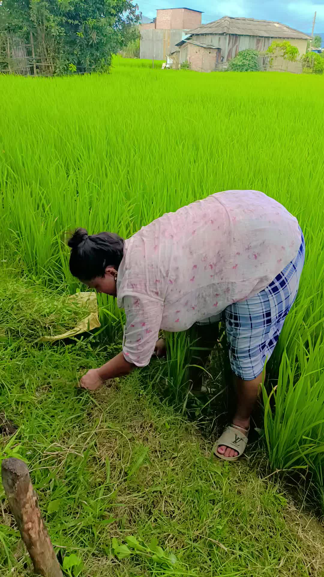 @mira Pokharel