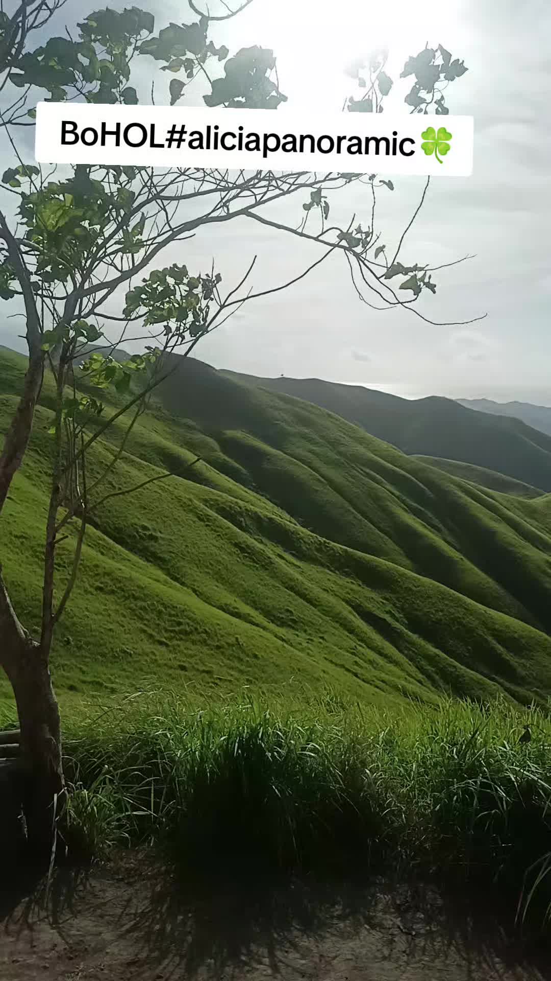 @SercBada