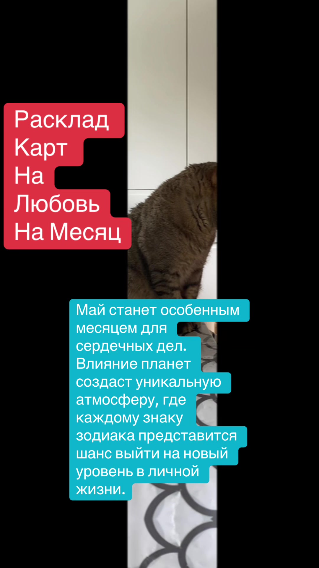 @ВИКУСЯ ЯСНОВИДЯЩАЯ