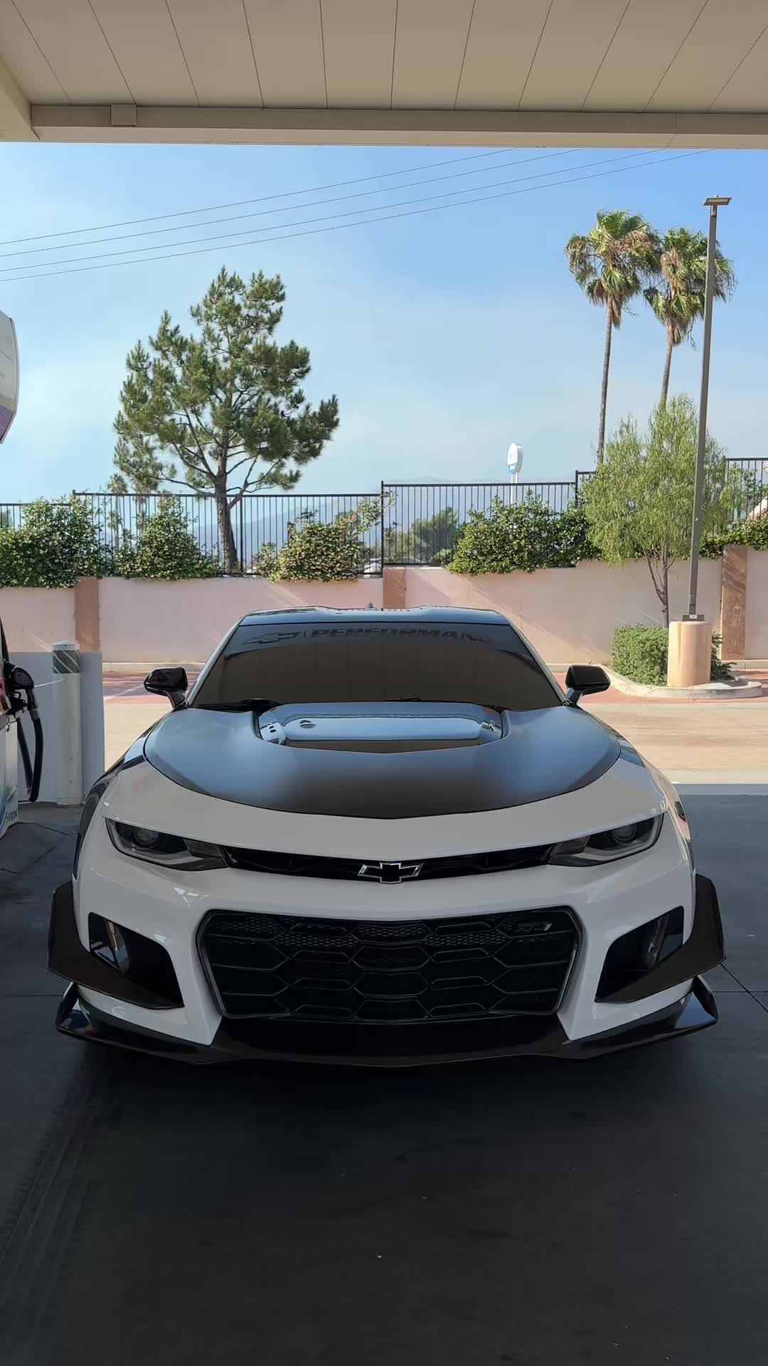 @SHHHZL1