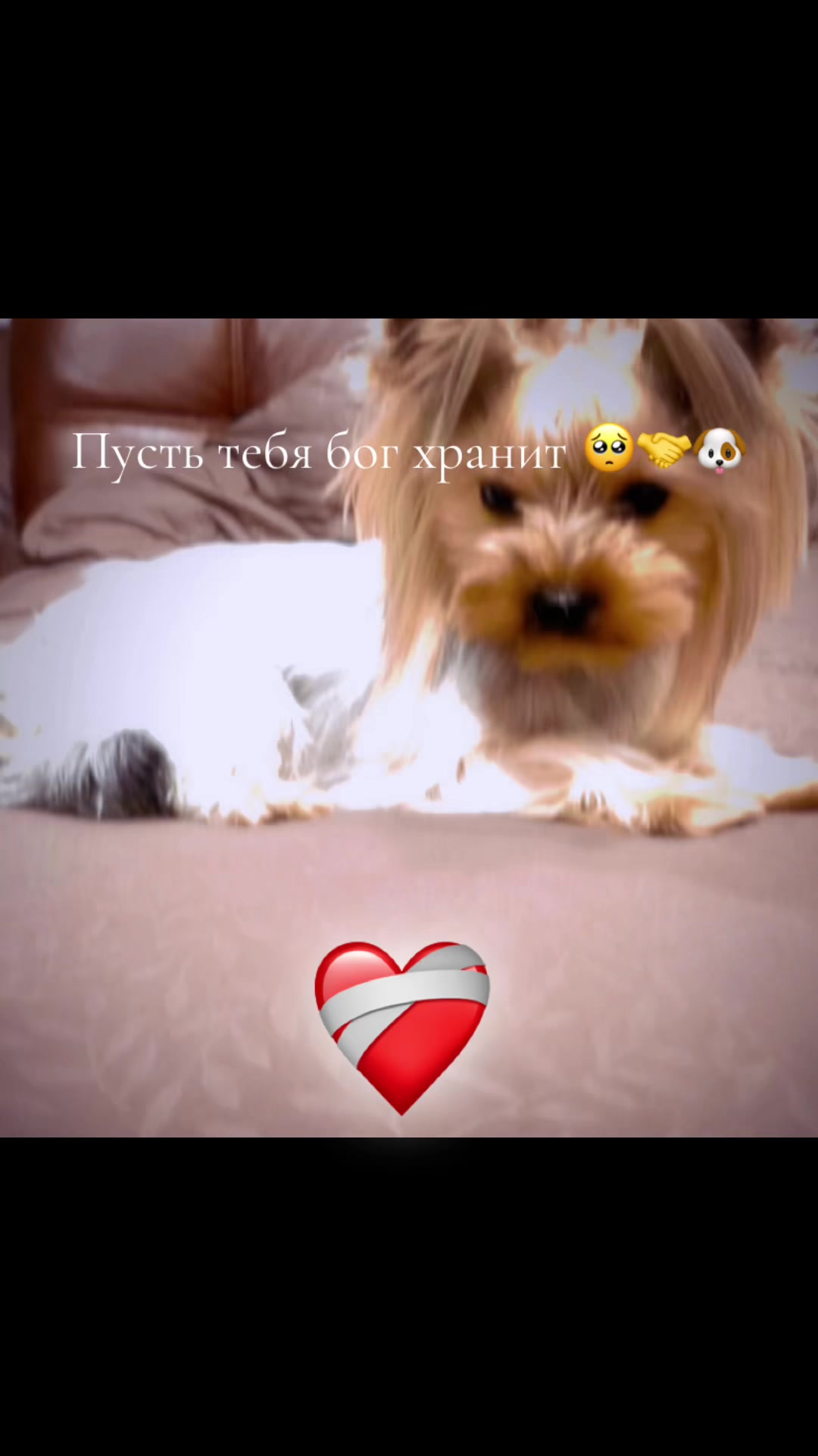 @Сочные_пильмэни)