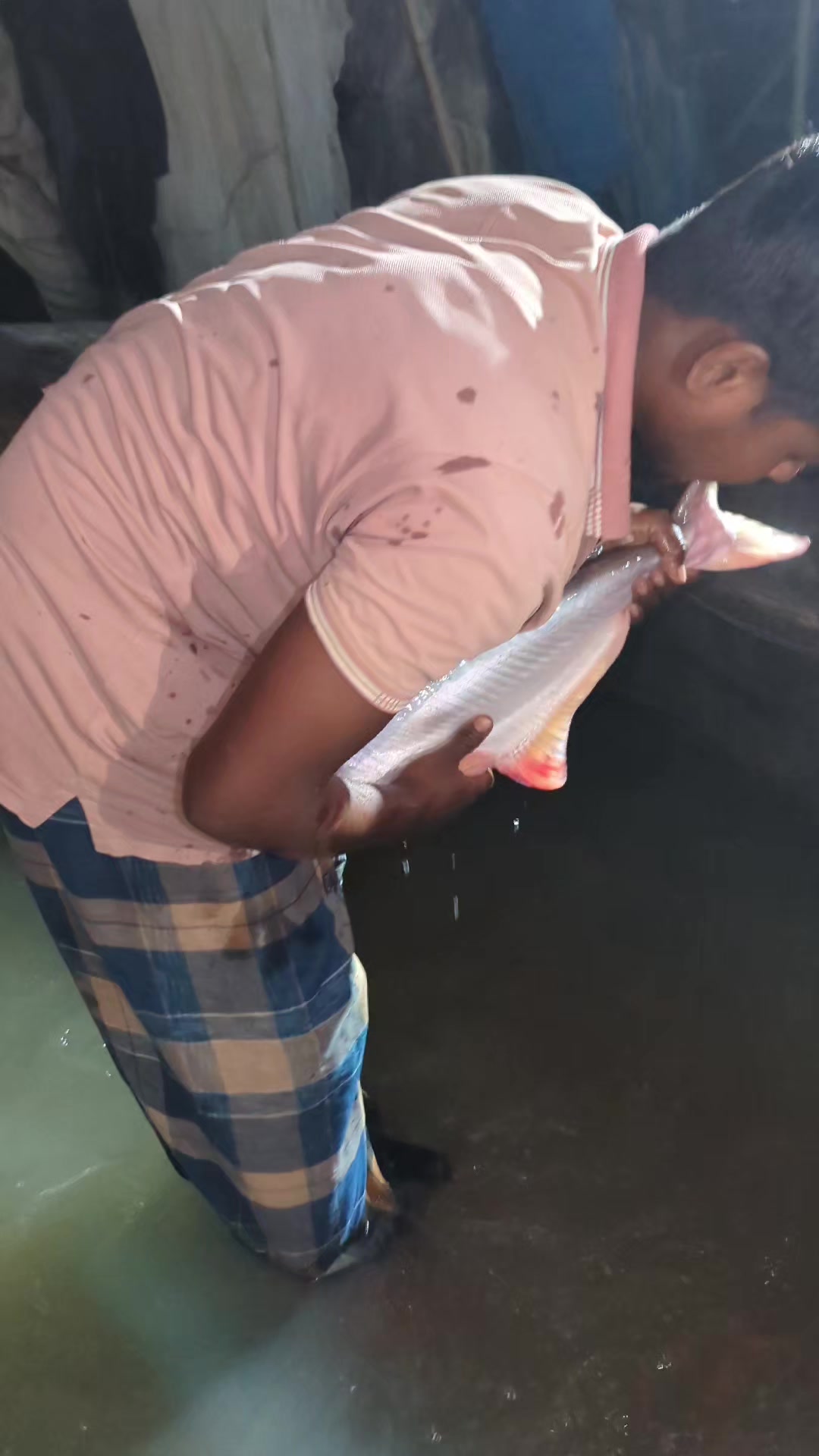 @Fish Lovers Bangladesh