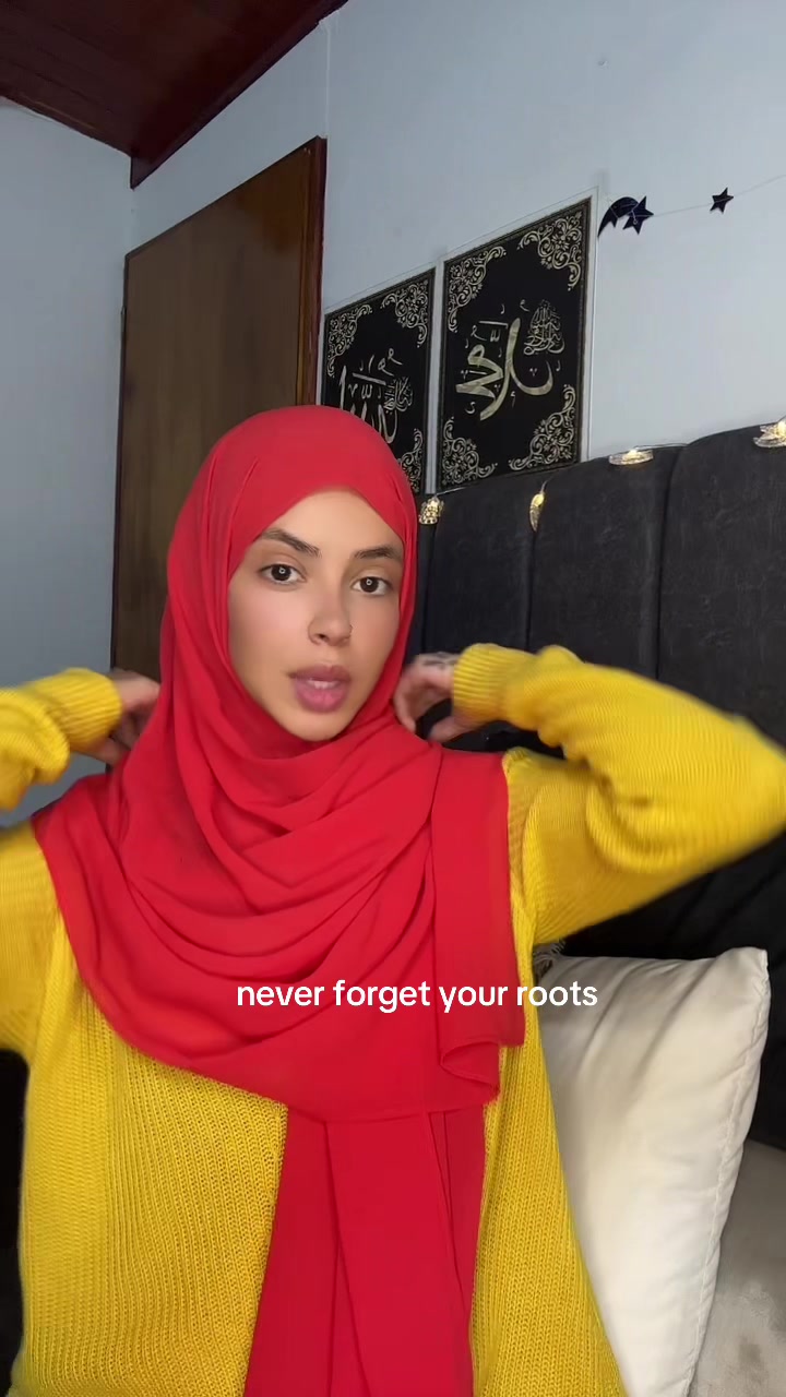 @amirasky