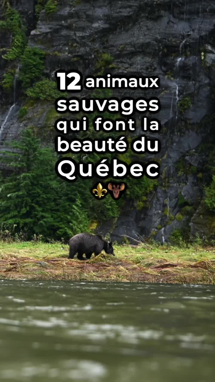 @Qu&eacute;bec FIER
