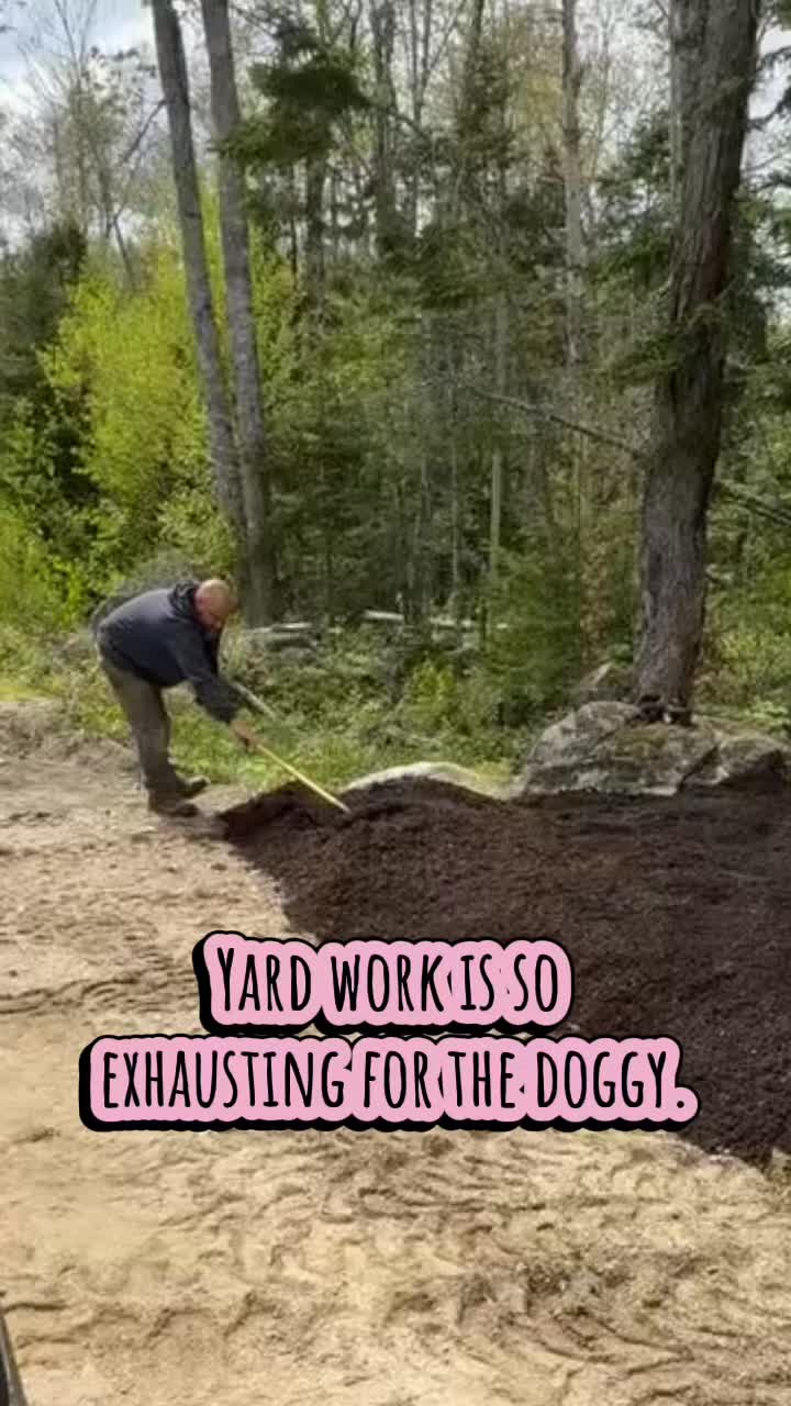 @money.pit.ranch
