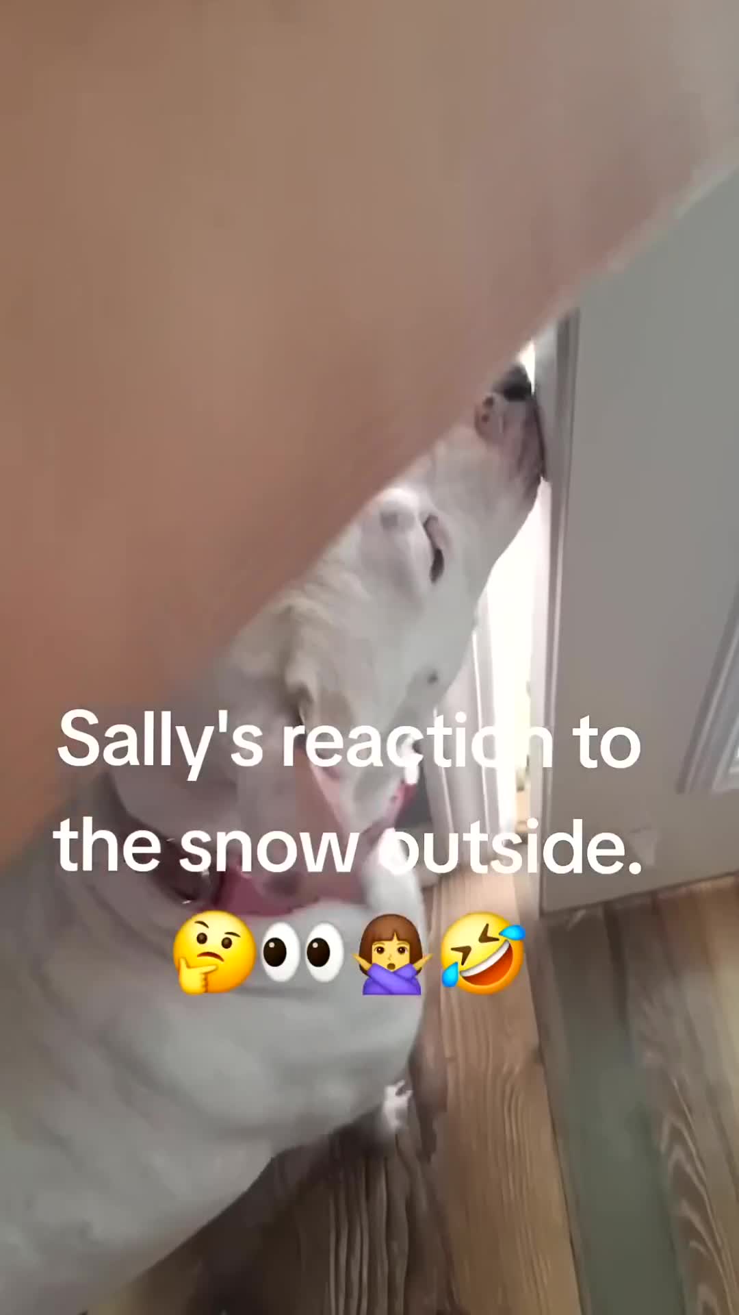 @SaltCast🎣Pure