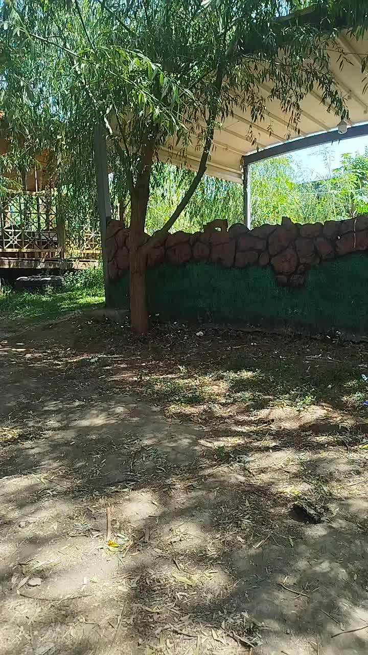 @Hayat