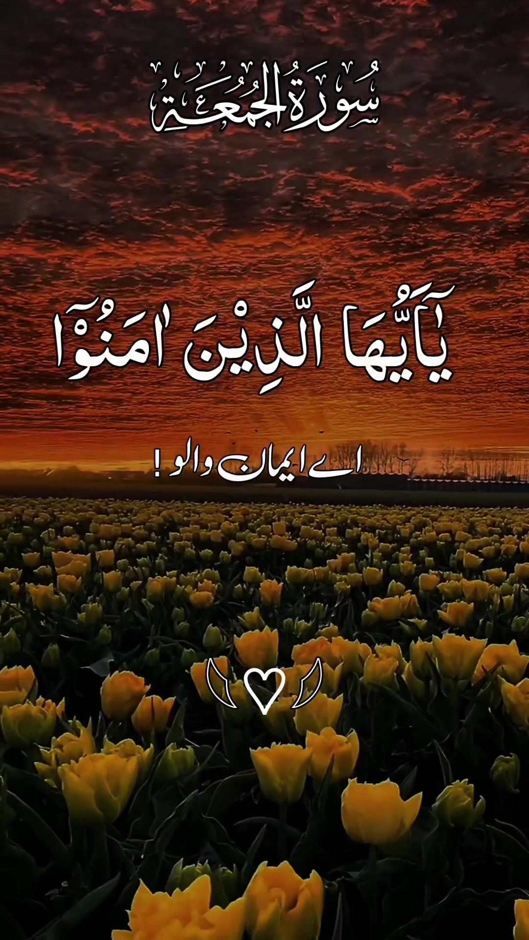 @❣️ Words of Allah ❣️