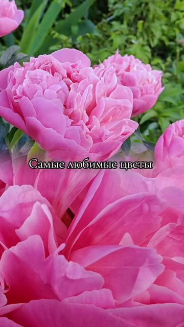 @111.MININA.111