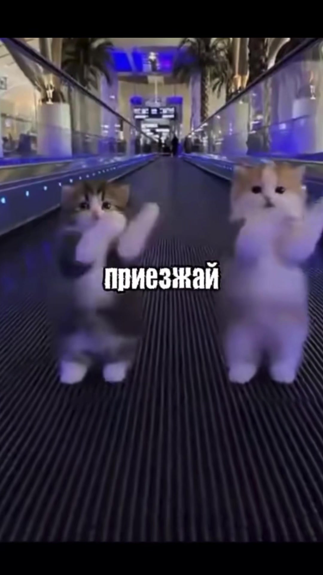 @варька🍥