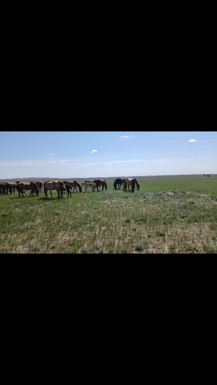 @ҒАЛЫМ ҚАЛАБАЕВ
