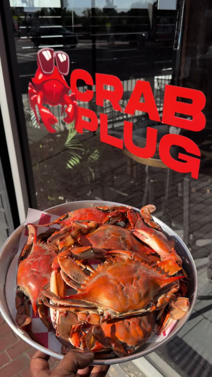 @Crabplug&rsquo;s