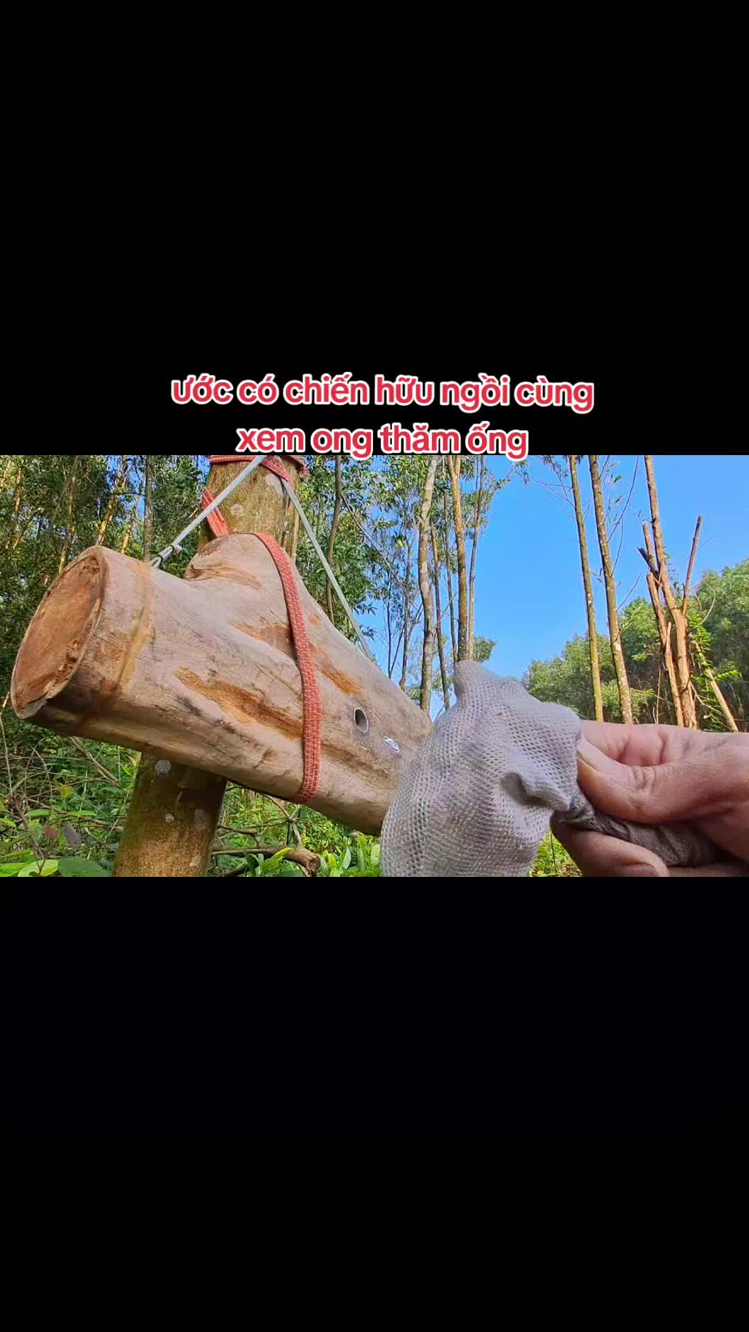 @Kết Nối Đam Mê Ong