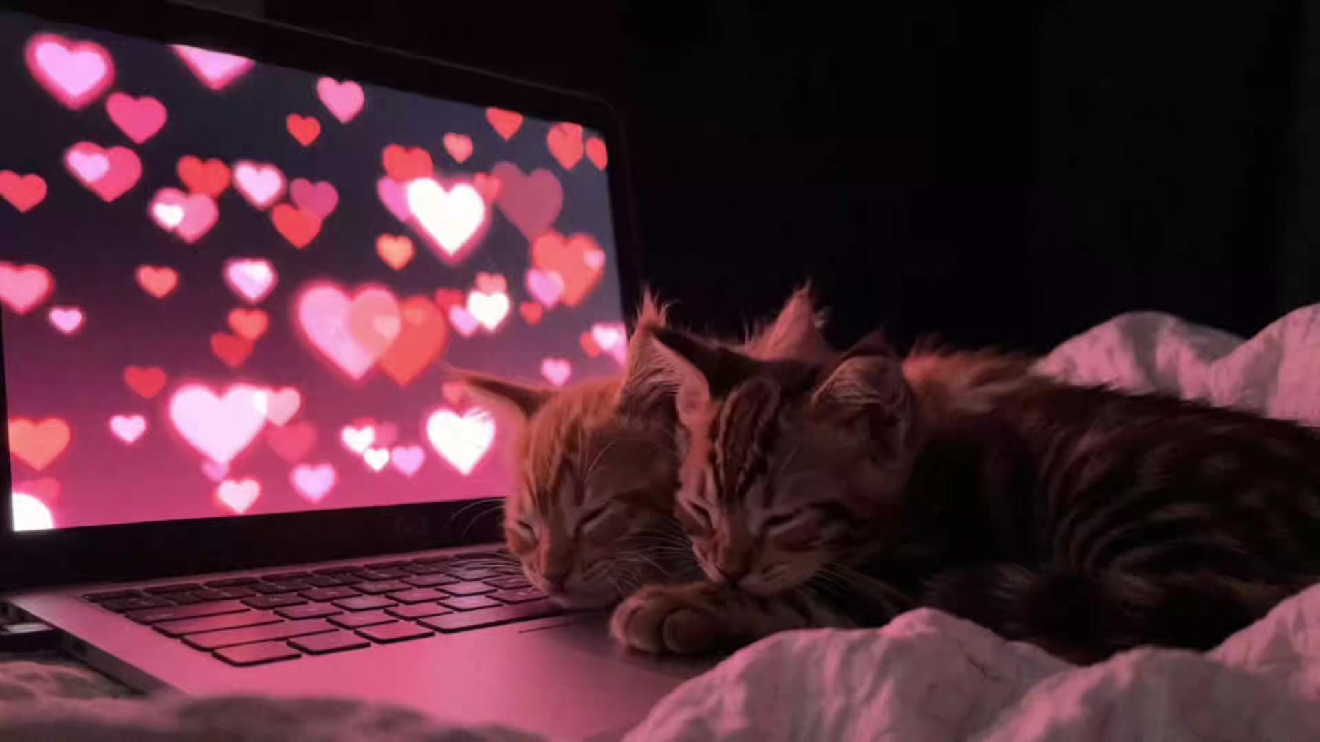 @purerpurr