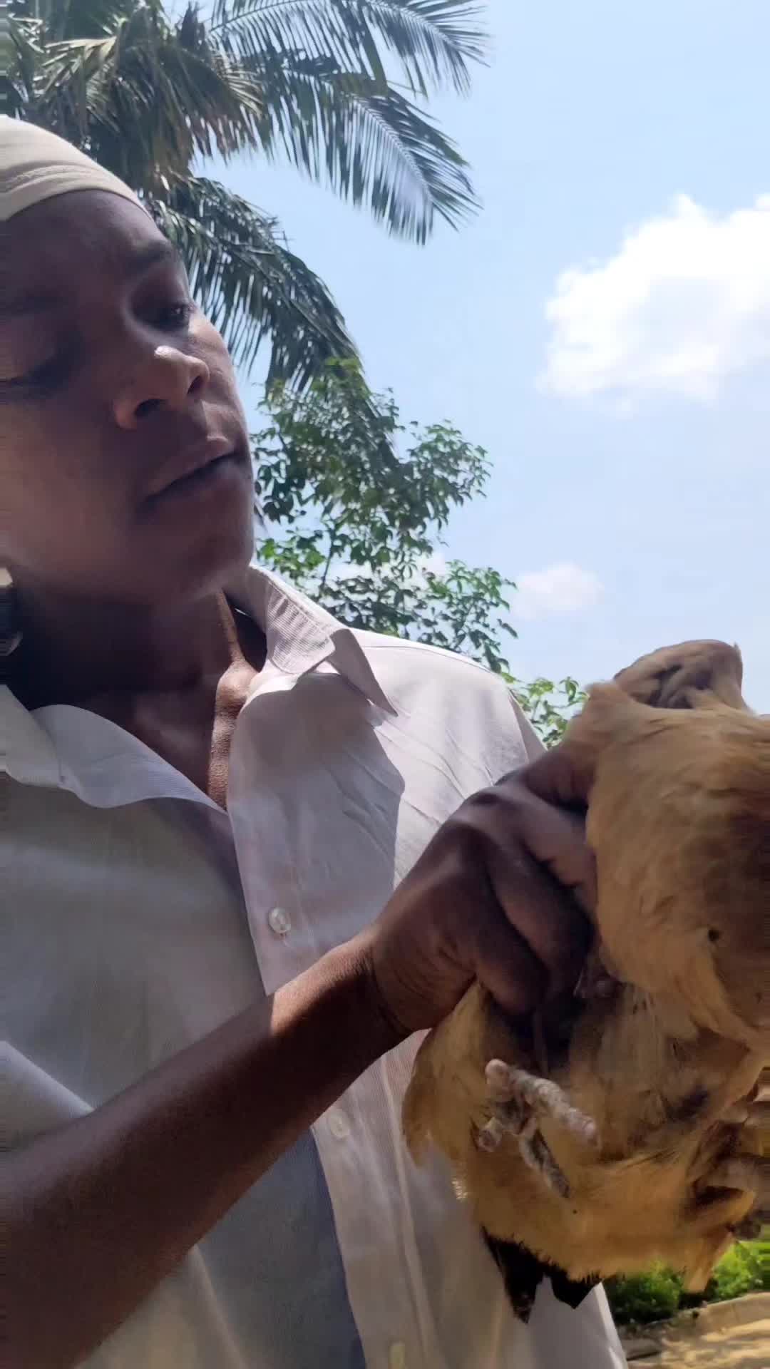@afrosam