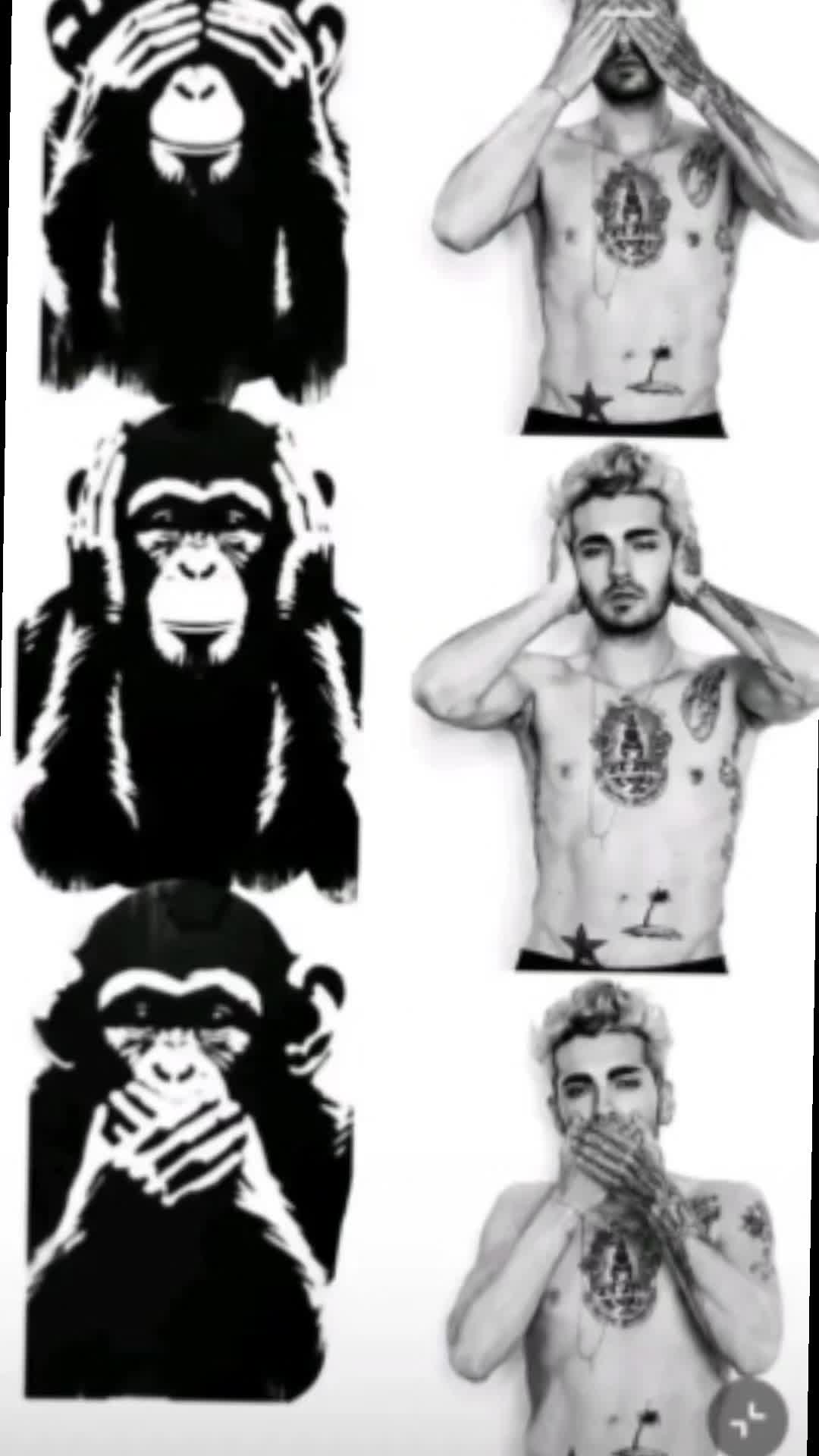 @➳༻❀𝓬tokio hotel_fan❀༺➳