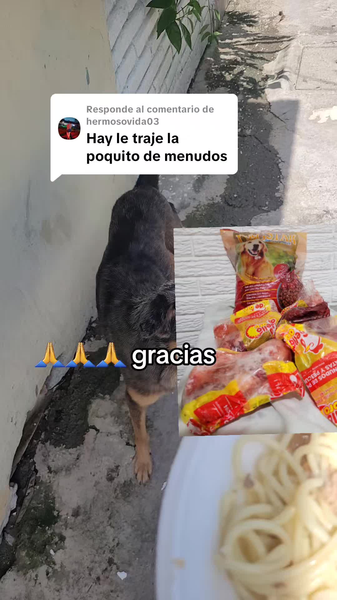 @𝕃𝕚𝕤𝕤 ℝ𝕖yes🇸🇻