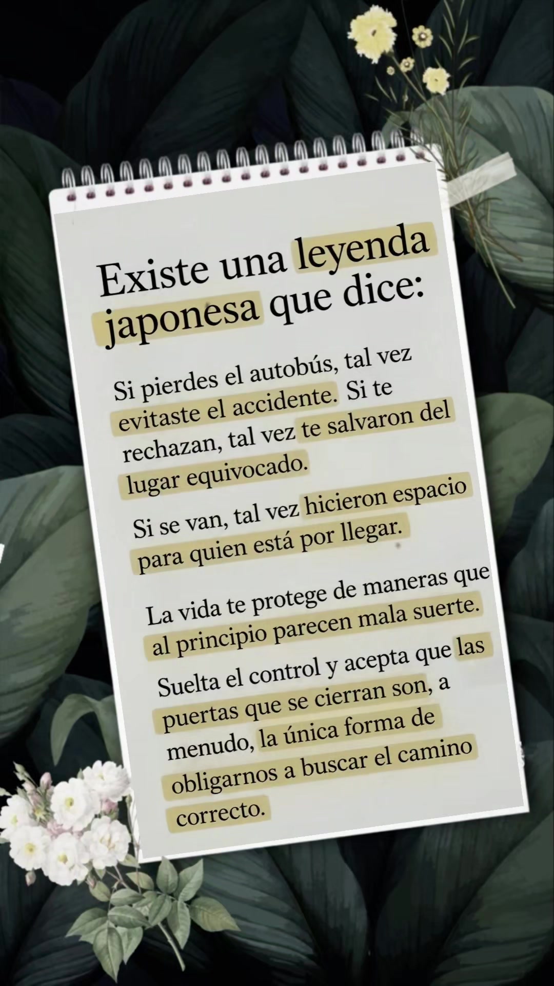 @Giovanny Castañeda