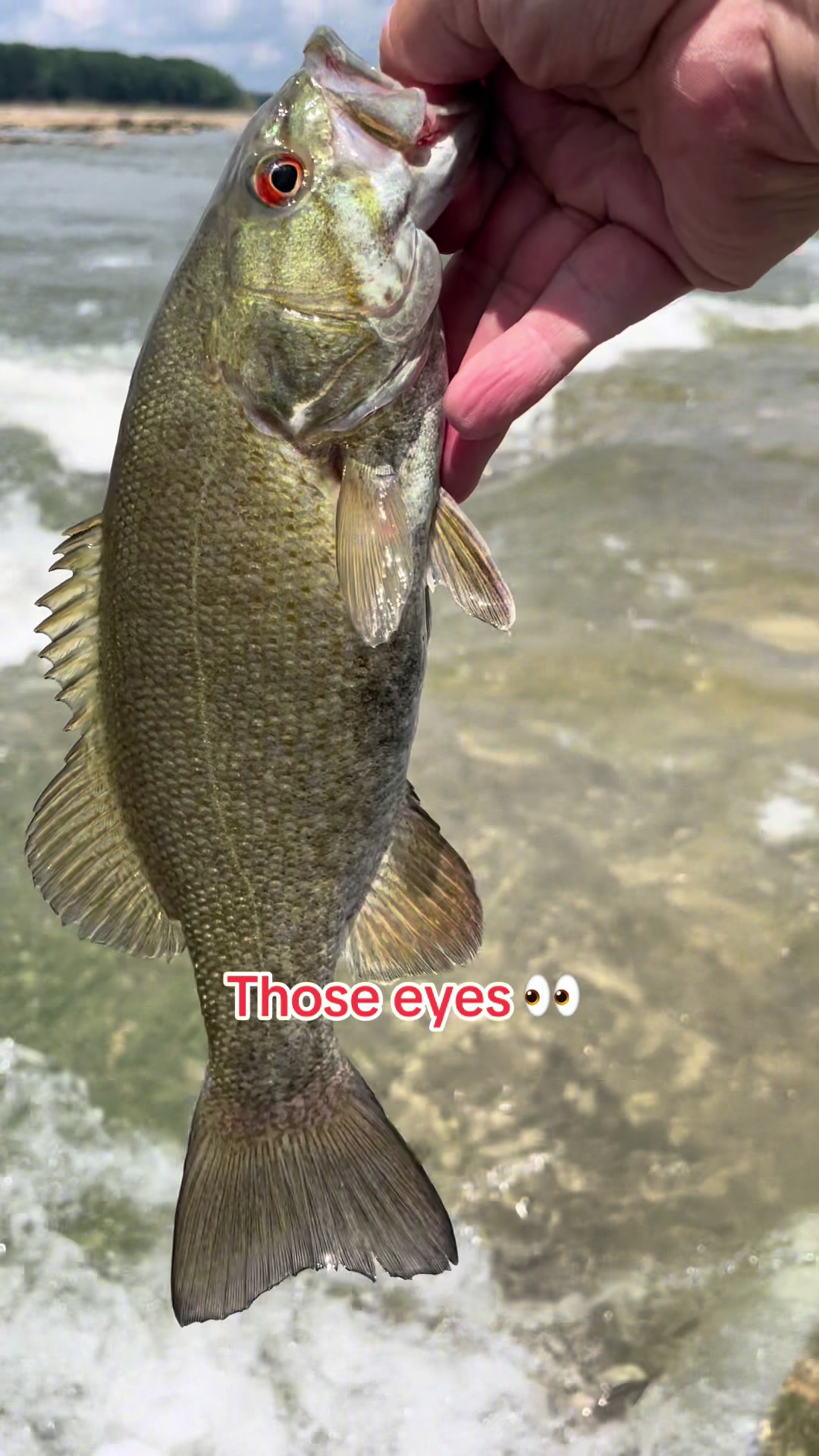 @Kentucky&ensp;Fishing