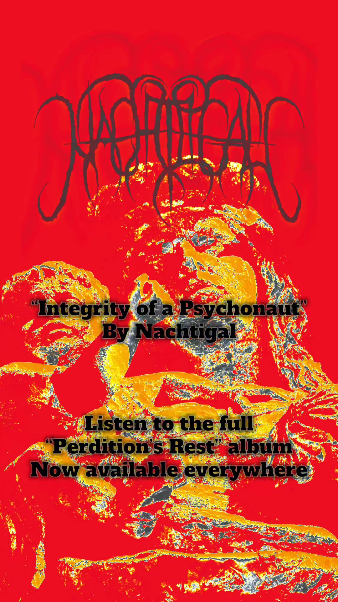 @nachtigal.band