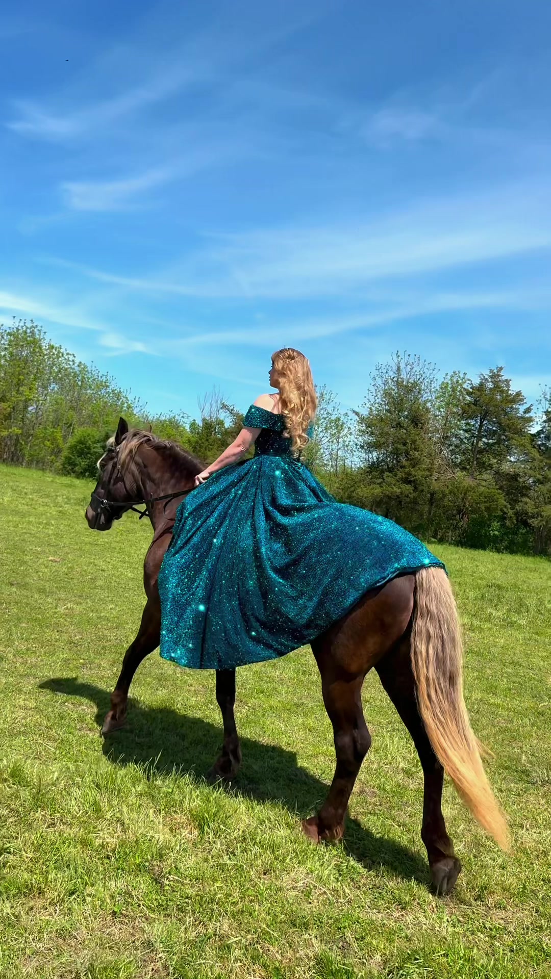 @Free Spirit Equestrian