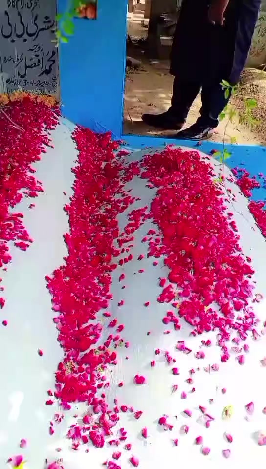@shahbaz