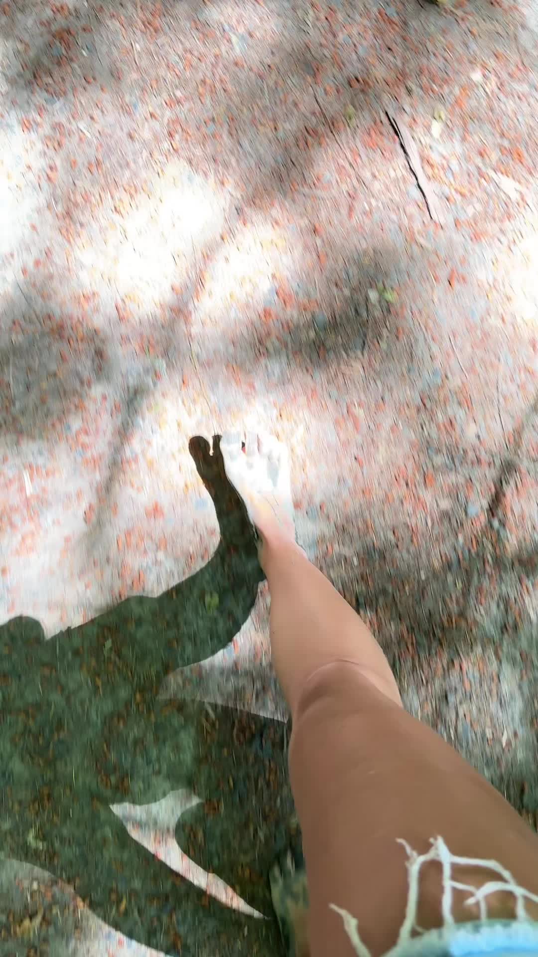@Lastseenhuggingatree
