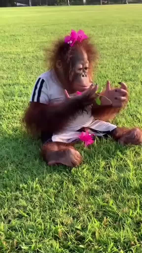 @benjamin