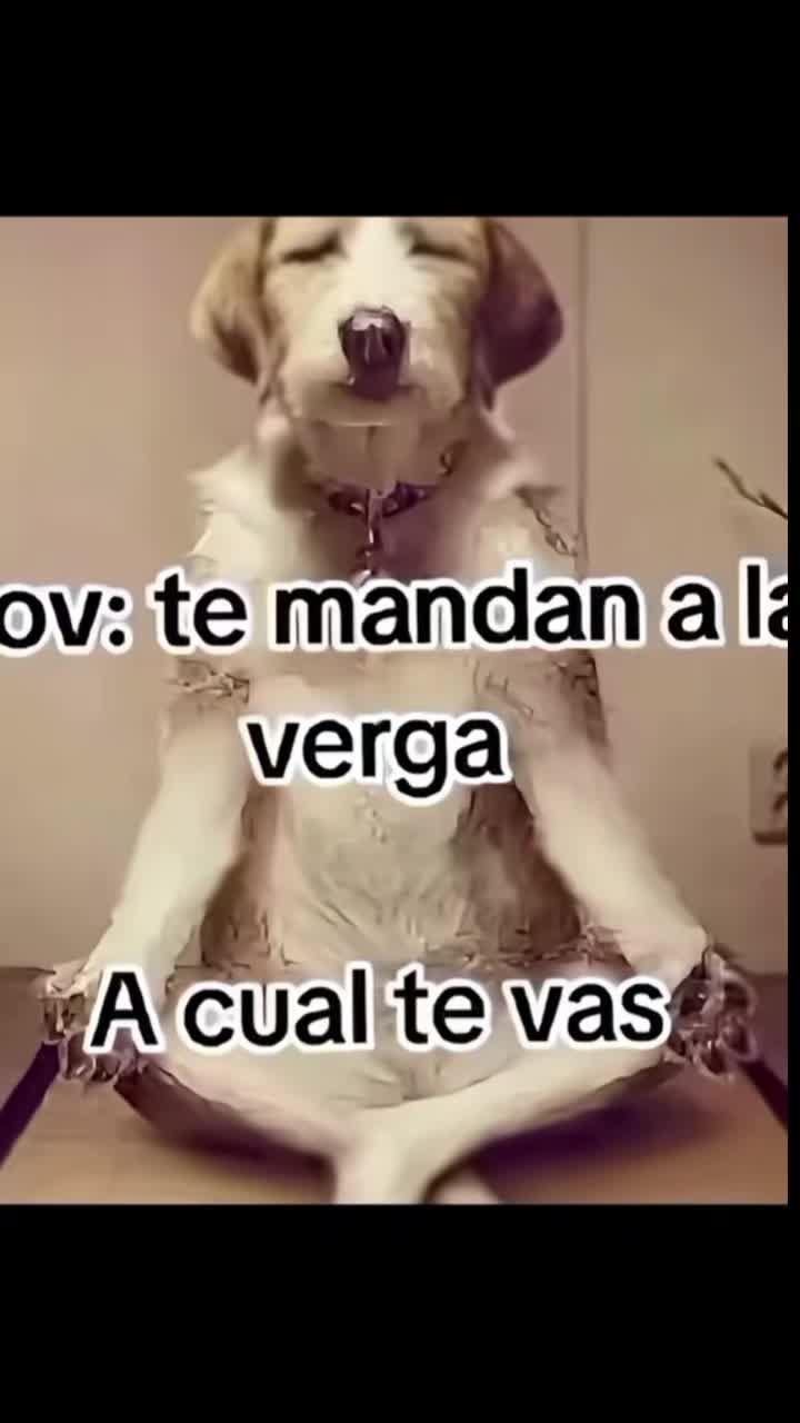@Menú de 🤠🧔🏻♂️