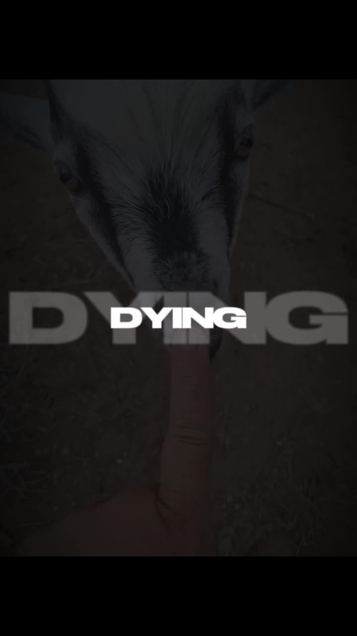 @gray🐐 witchgoat