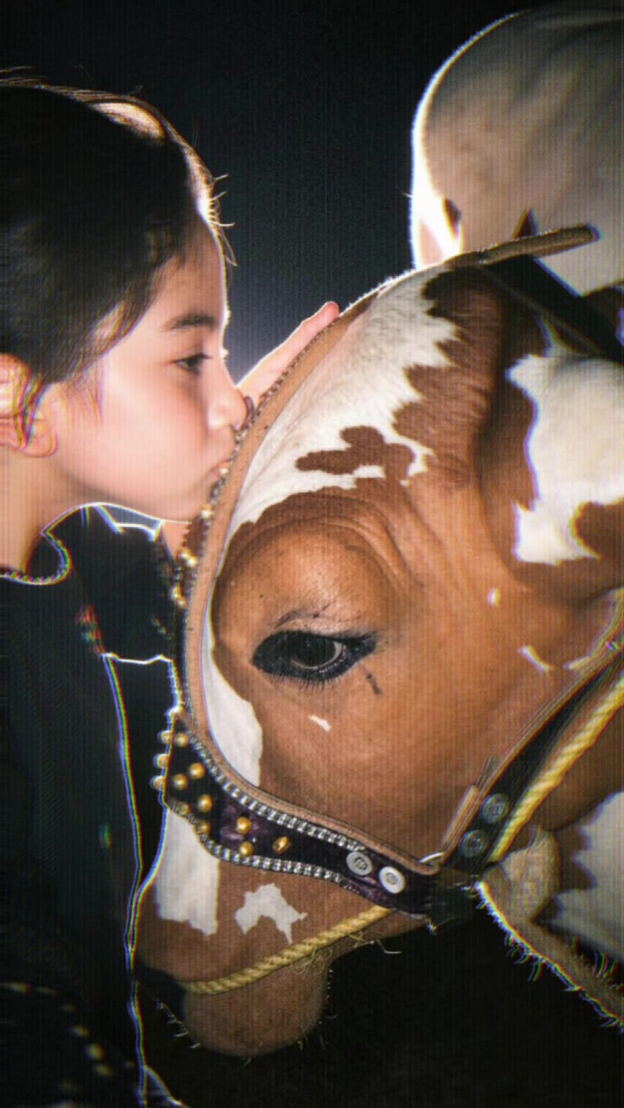 @Lovely Khan 🥀