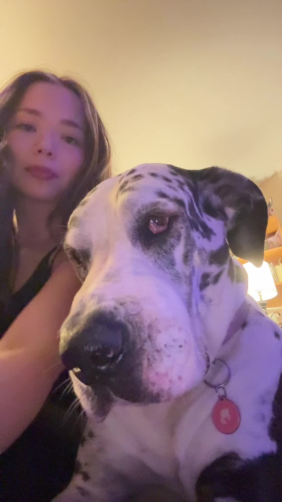 @mhm.yuplol