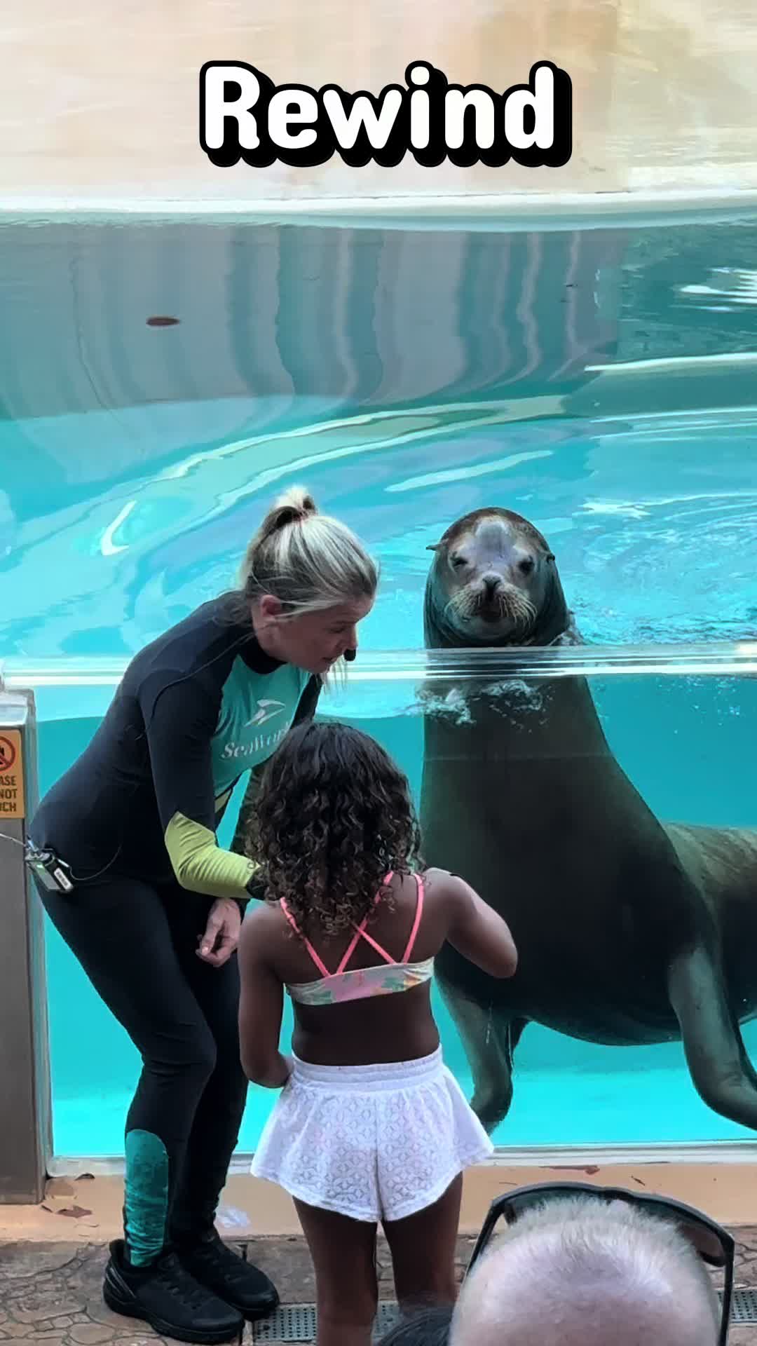 @OlivierSeaworld