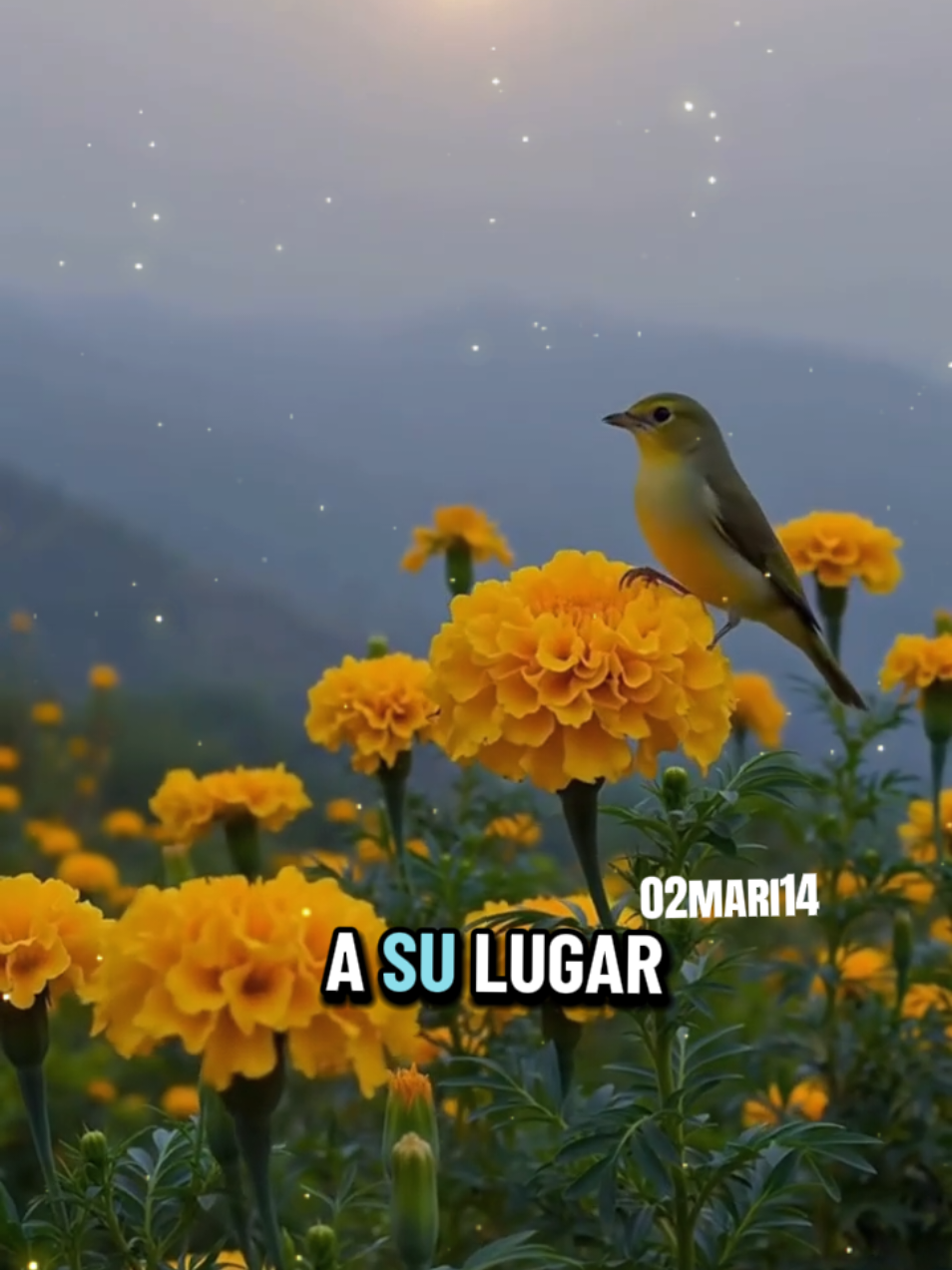 @✨Mari✨