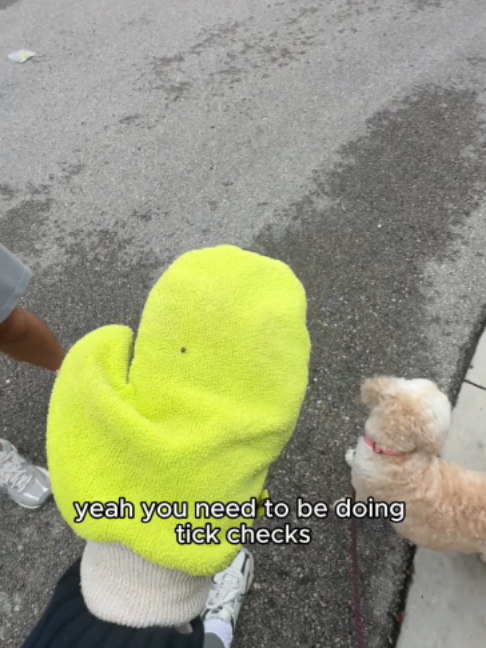 @TiCK MiTT