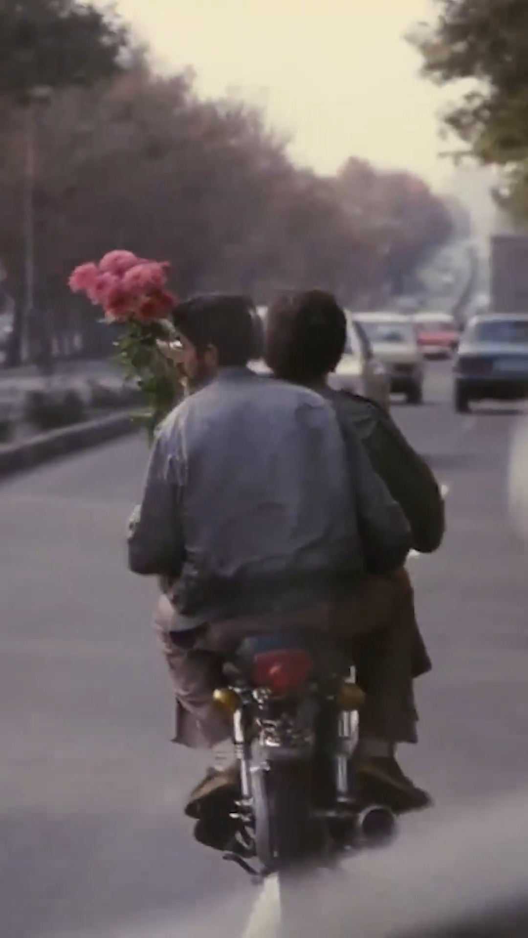 @MUBI