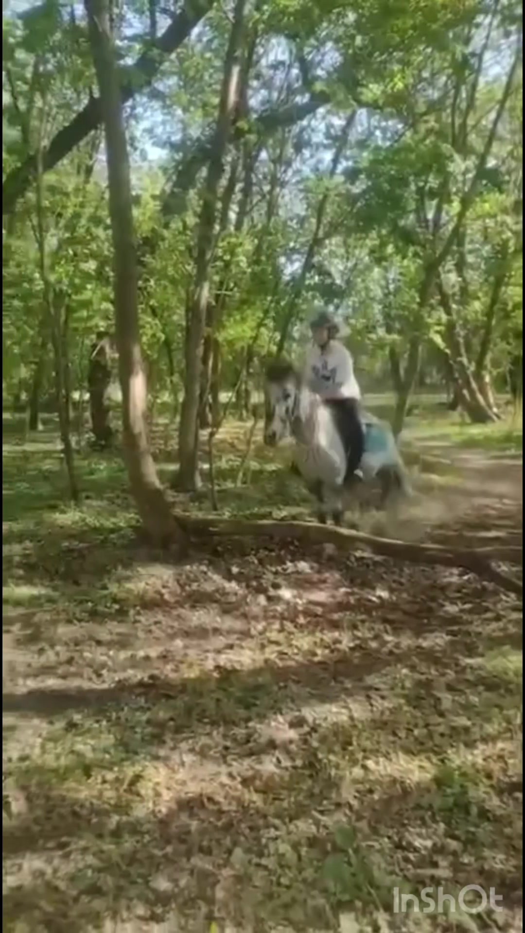 @l.equestrian🪽