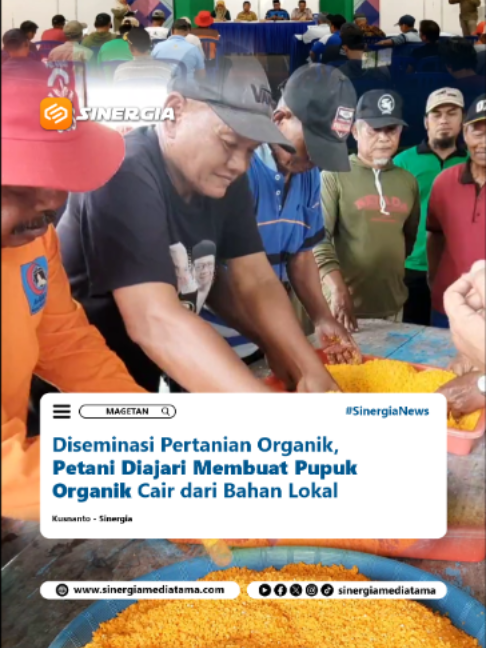 @SINERGIA MEDIATAMA