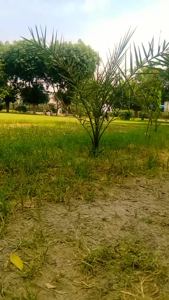 @Dark 🕶️🌑