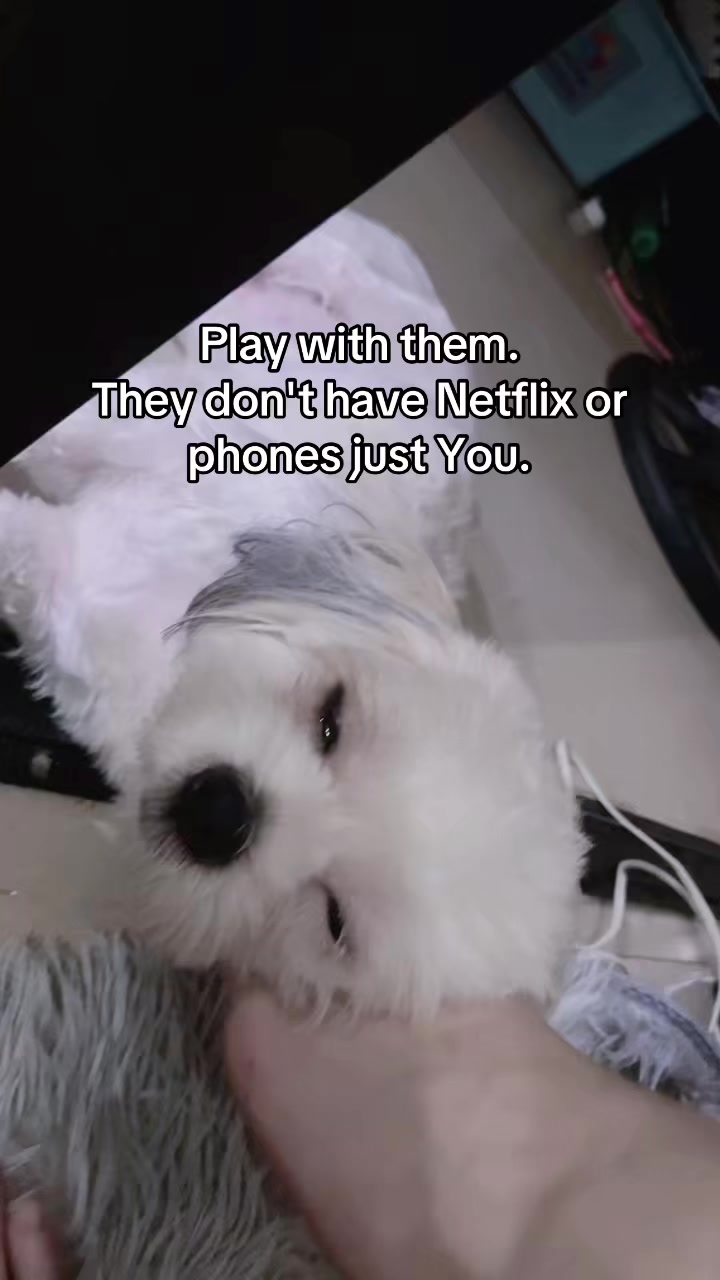 @Mae Mei