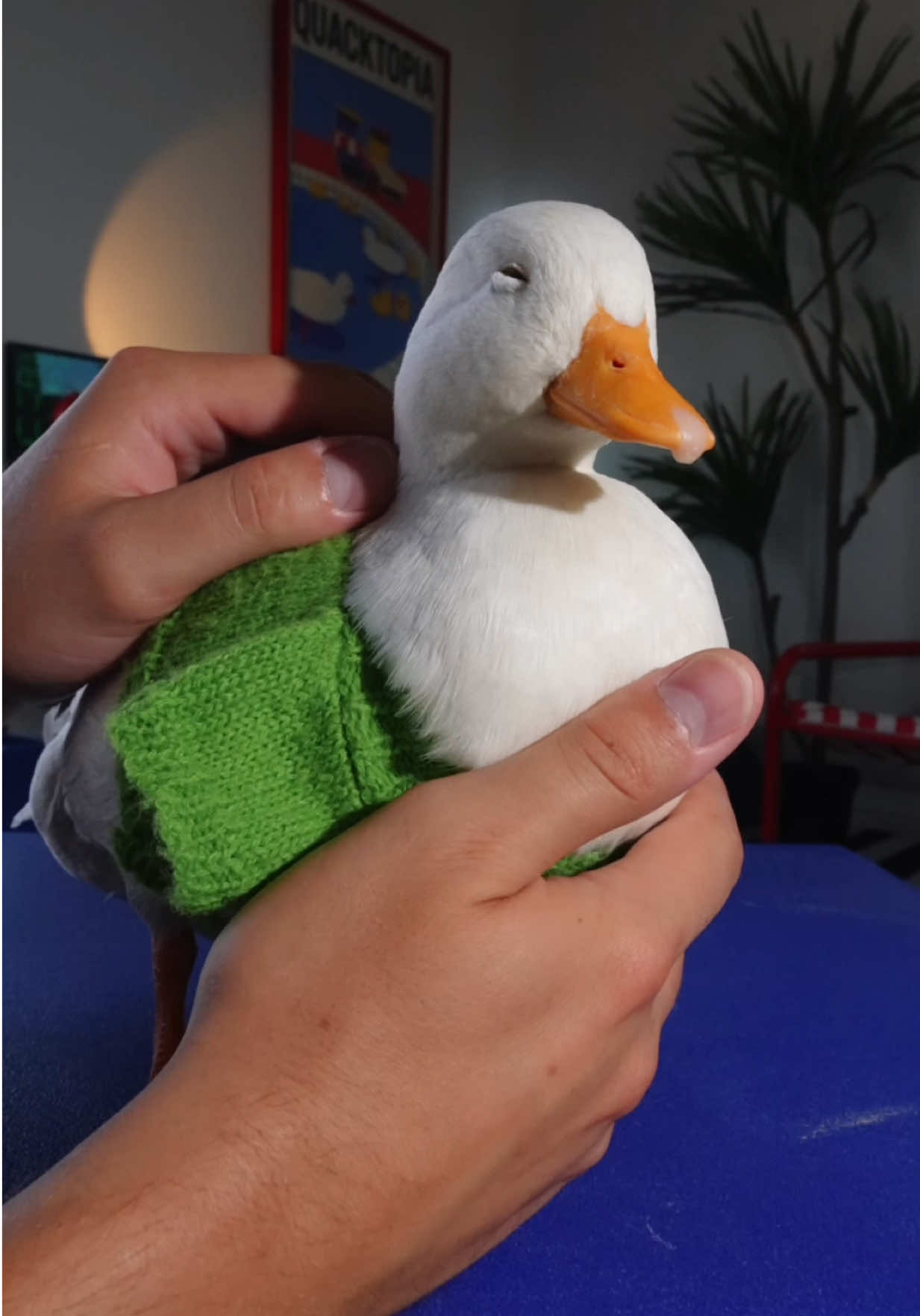 @ducks_in_space🪿🪿💦
