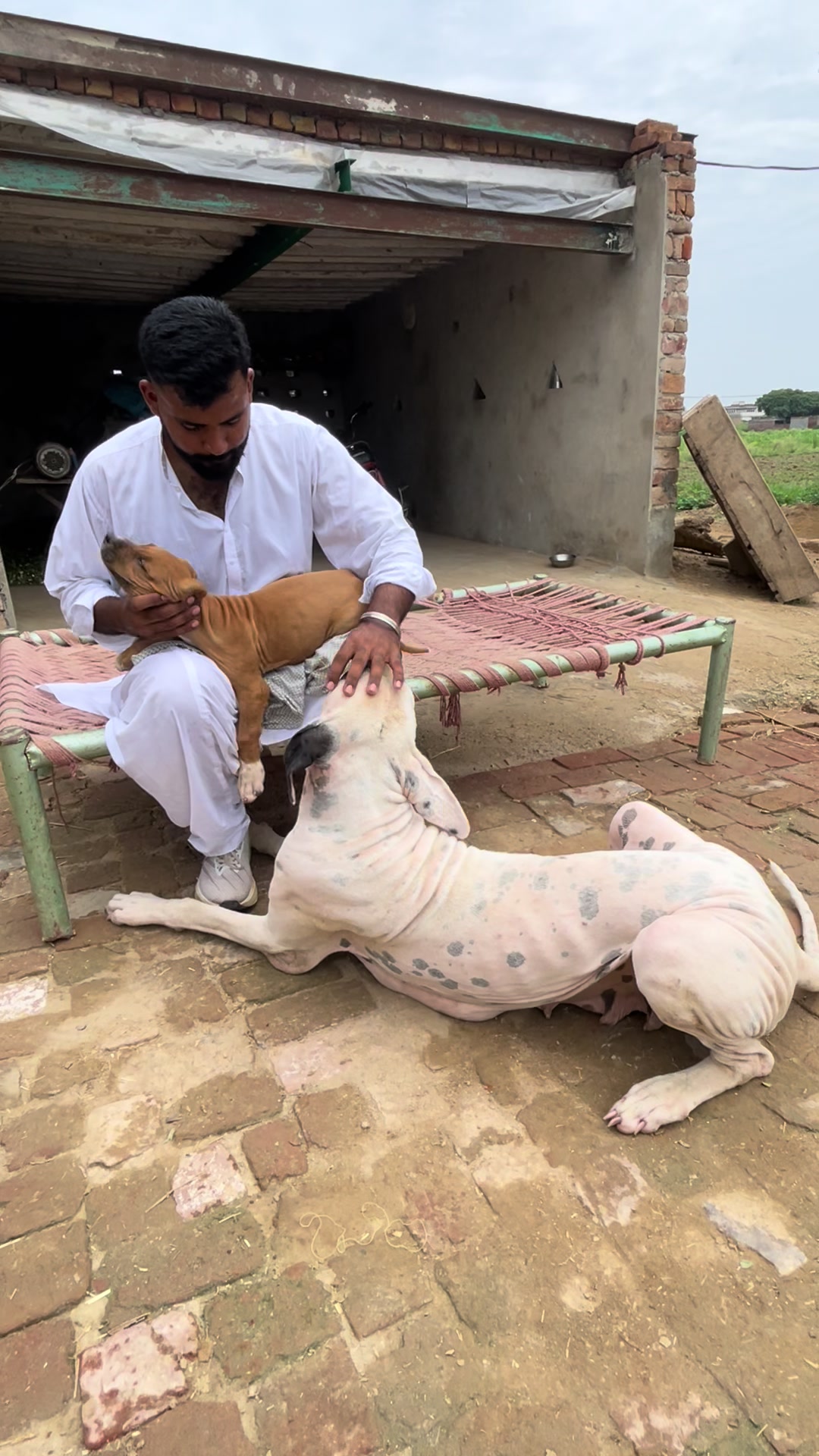 @Abdullah Mattu