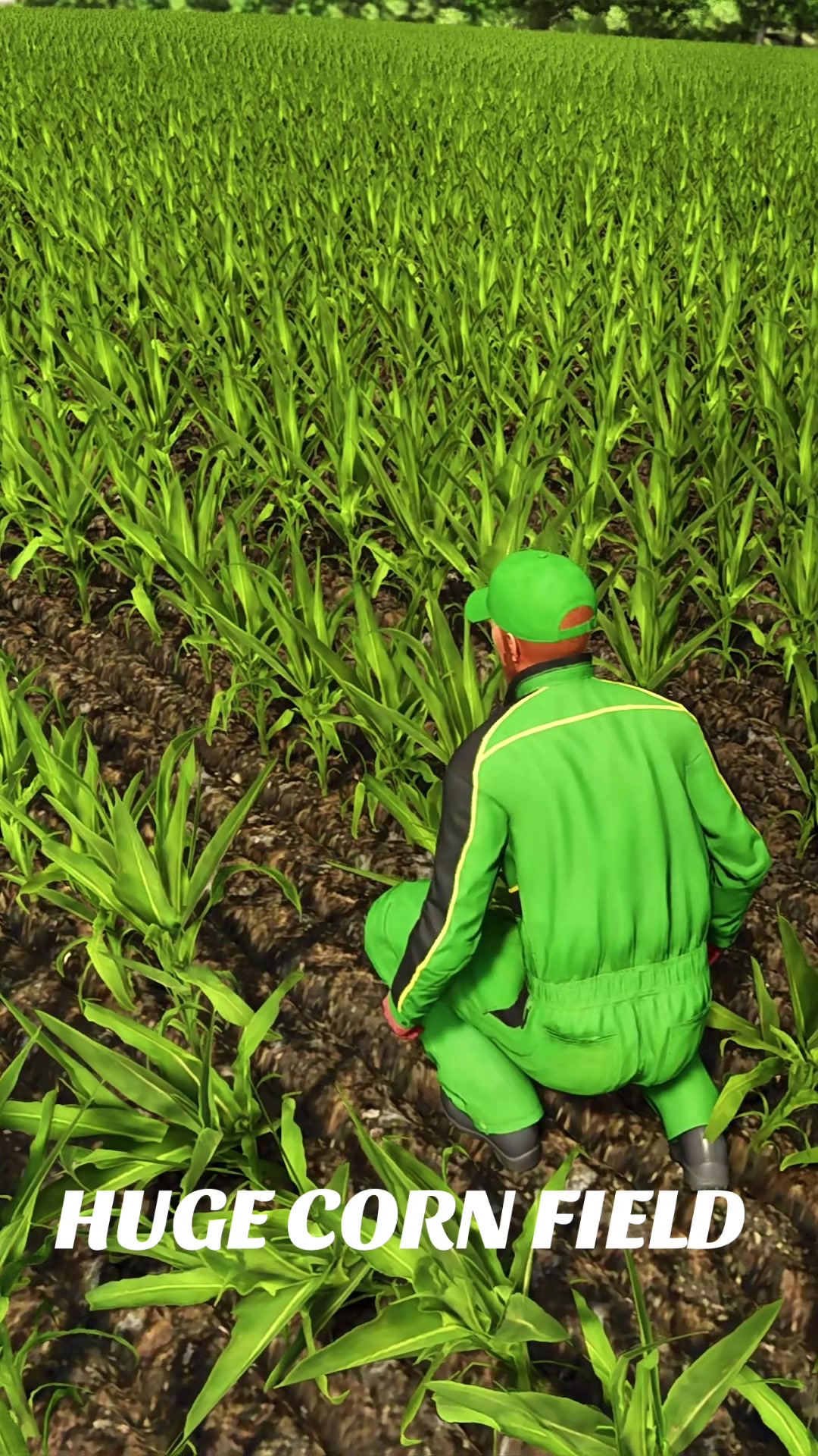 @Farmer Pedro