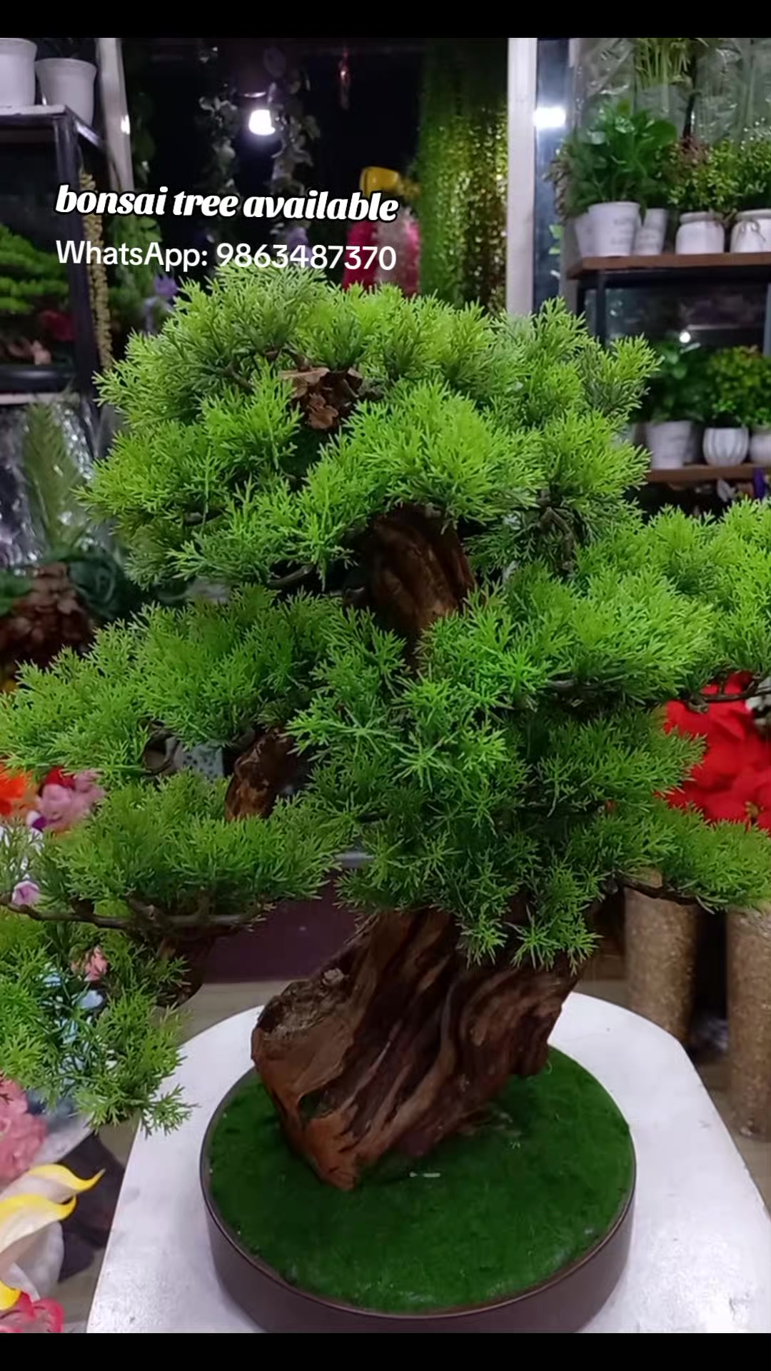 @Flora_p0int-dhumbarahi
