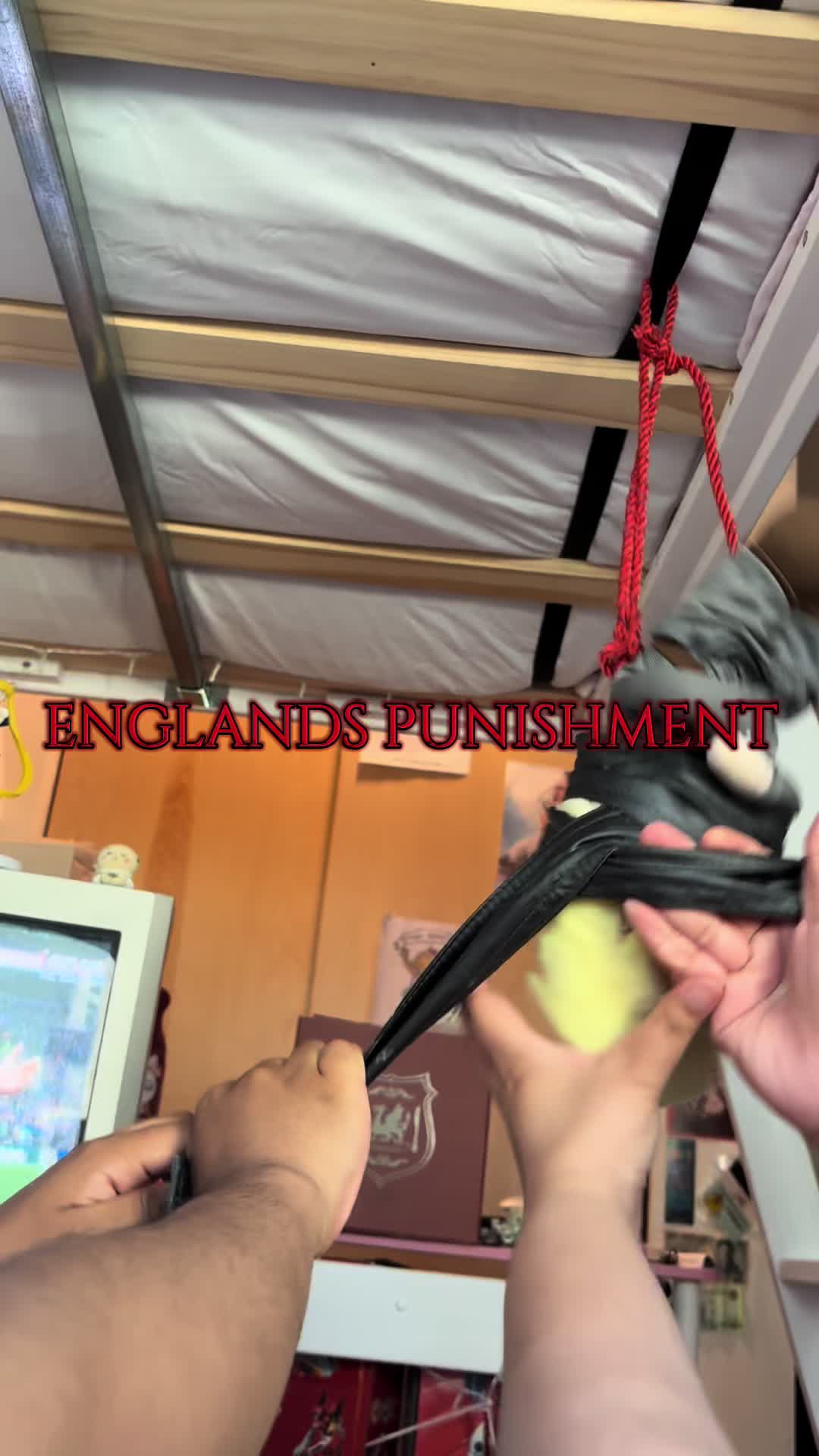 @teeth gatherer