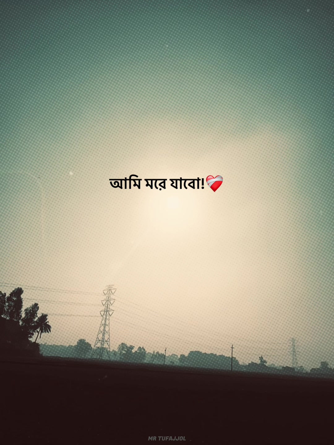 @-ᴅᴀɪꜱʏ-🌼