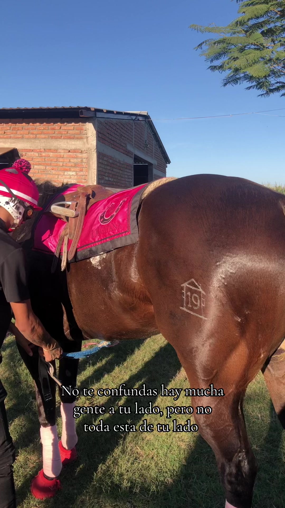 @Anye guzman🏇🏻