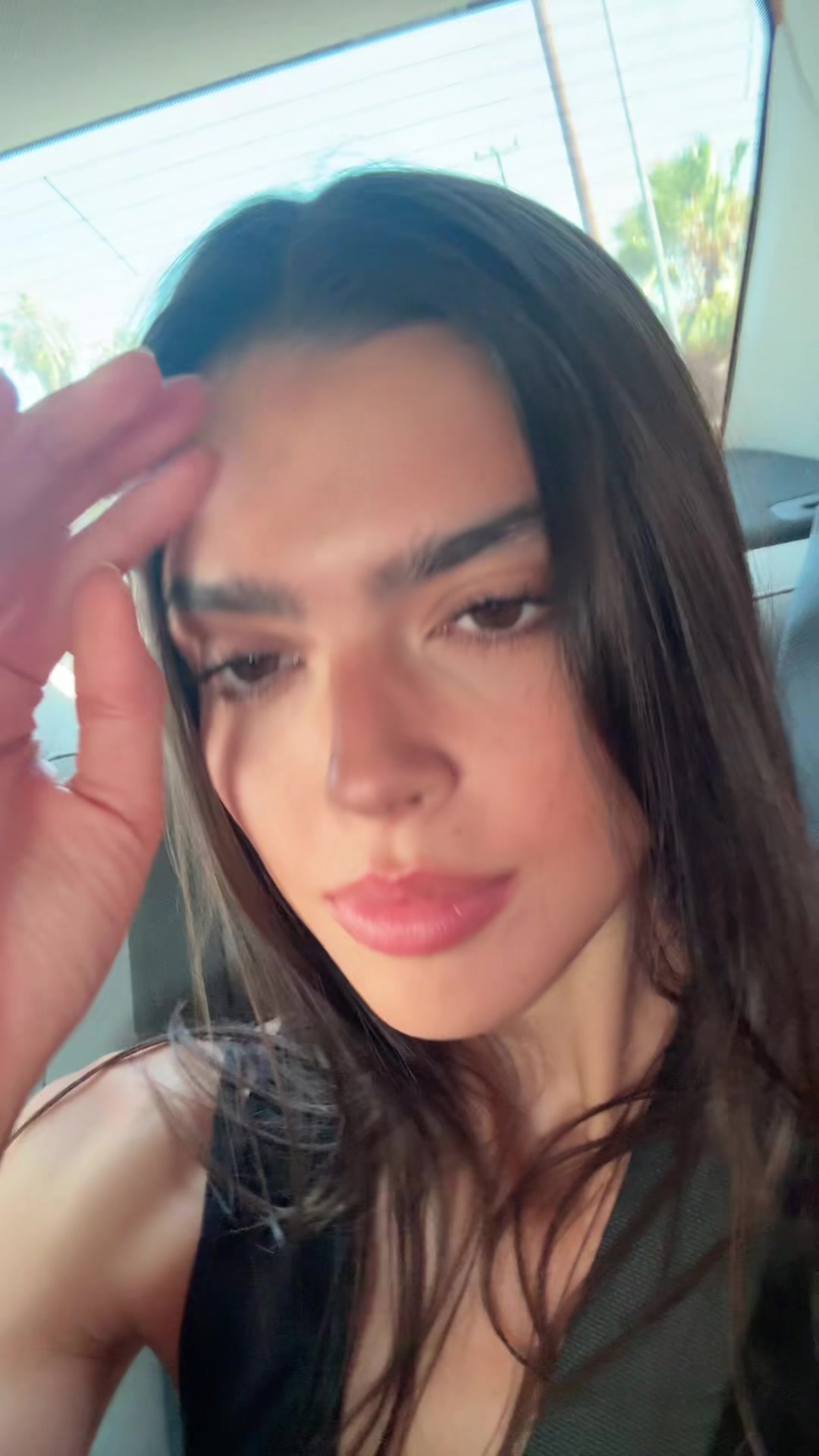 @laurentsears